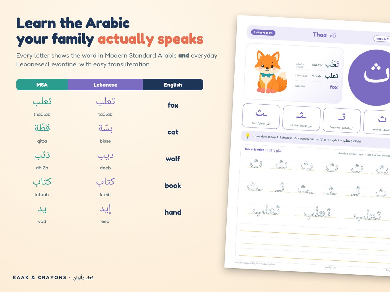 Comparison of MSA and Lebanese dialect words on letter pages